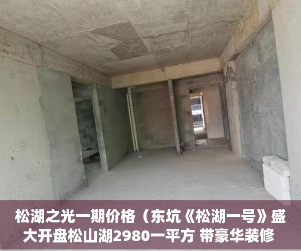 松湖之光一期价格（东坑《松湖一号》盛大开盘松山湖2980一平方 带豪华装修 ）小产权房建10层要多久，