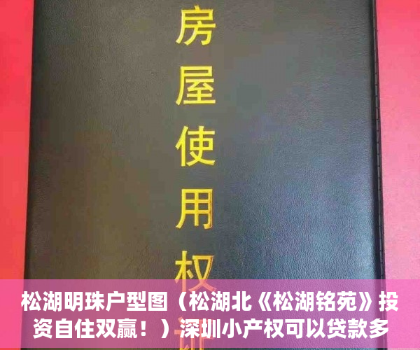 松湖明珠户型图（松湖北《松湖铭苑》投资自住双赢！）深圳小产权可以贷款多久，
