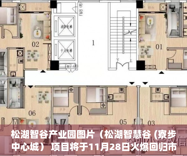 松湖智谷产业园图片（松湖智慧谷 (寮步中心城） 项目将于11月28日火爆回归市 ）违建小产权房过多久就不能拆了，