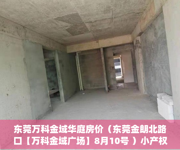 东莞万科金域华庭房价（东莞金朗北路口【万科金域广场】8月10号 ）小产权没有证怎么加名字，
