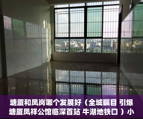 塘厦和凤岗哪个发展好（全城瞩目 引爆塘厦凤祥公馆临深首站 牛湖地铁口 ）小产权的房贷可以办多久的，