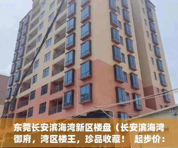 东莞长安滨海湾新区楼盘（长安滨海湾御府，湾区楼王，珍品收藏！  起步价：5980元 ）小产权多久能上户，