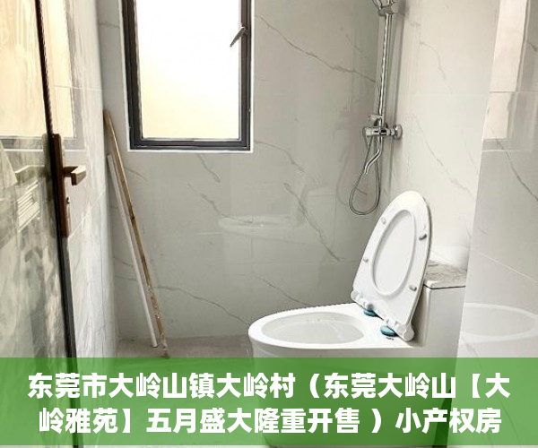 东莞市大岭山镇大岭村（东莞大岭山【大岭雅苑】五月盛大隆重开售 ）小产权房以后怎么处理，