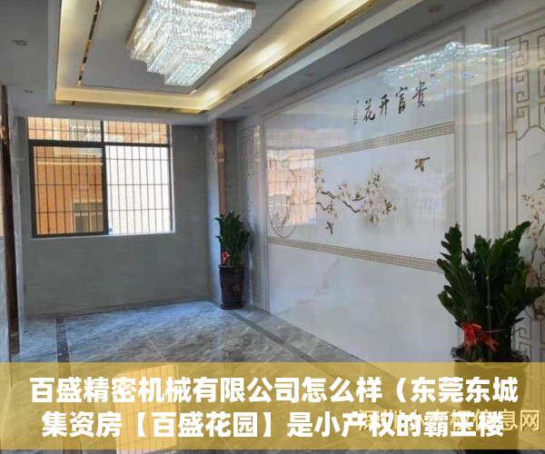 百盛精密机械有限公司怎么样（东莞东城集资房【百盛花园】是小产权的霸王楼 ）小产权怎么上学，