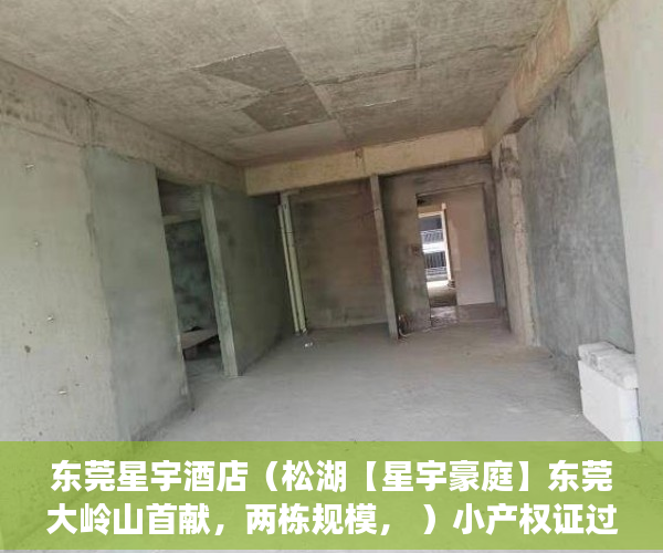 东莞星宇酒店（松湖【星宇豪庭】东莞大岭山首献，两栋规模， ）小产权证过户需多久，
