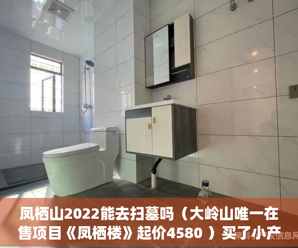 凤栖山2022能去扫墓吗（大岭山唯一在售项目《凤栖楼》起价4580 ）买了小产权二手房多久可以买，
