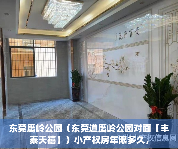 东莞鹰岭公园（东莞道鹰岭公园对面【丰泰天禧】）小产权房年限多久，