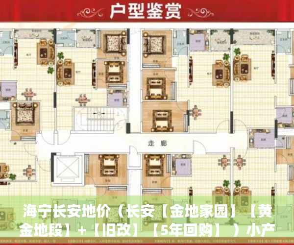 海宁长安地价（长安【金地家园】【黄金地段】+【旧改】【5年回购】 ）小产权房多久可以买，