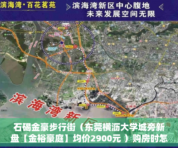 石碣金豪步行街（东莞横沥大学城旁新盘【金裕豪庭】均价2900元 ）购房时怎么能看出是大小产权，