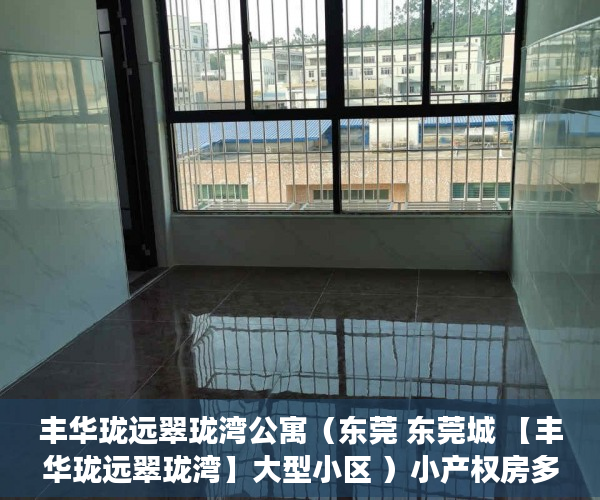 丰华珑远翠珑湾公寓（东莞 东莞城 【丰华珑远翠珑湾】大型小区 ）小产权房多久可卖，