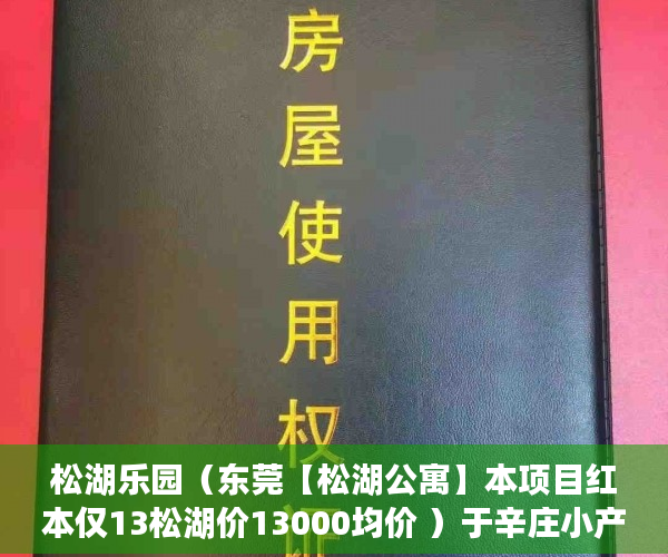 松湖乐园（东莞【松湖公寓】本项目红本仅13松湖价13000均价 ）于辛庄小产权怎么处理，