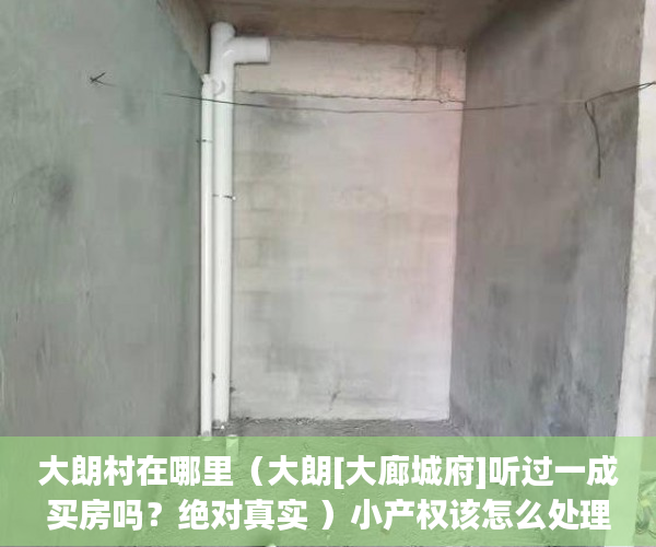 大朗村在哪里（大朗[大廊城府]听过一成买房吗？绝对真实 ）小产权该怎么处理，