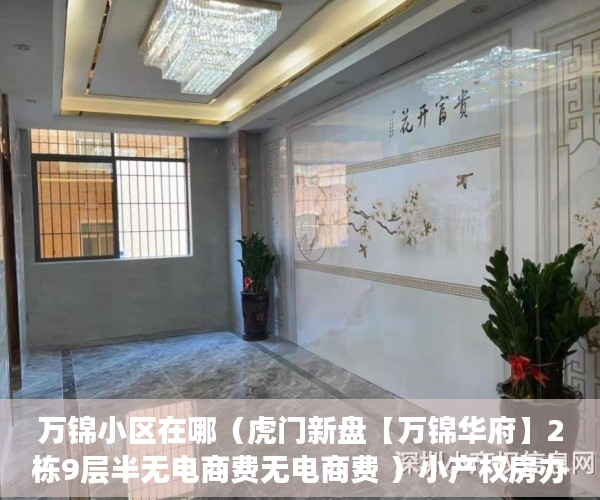 万锦小区在哪（虎门新盘【万锦华府】2栋9层半无电商费无电商费 ）小产权房办房产证后多久可买卖，