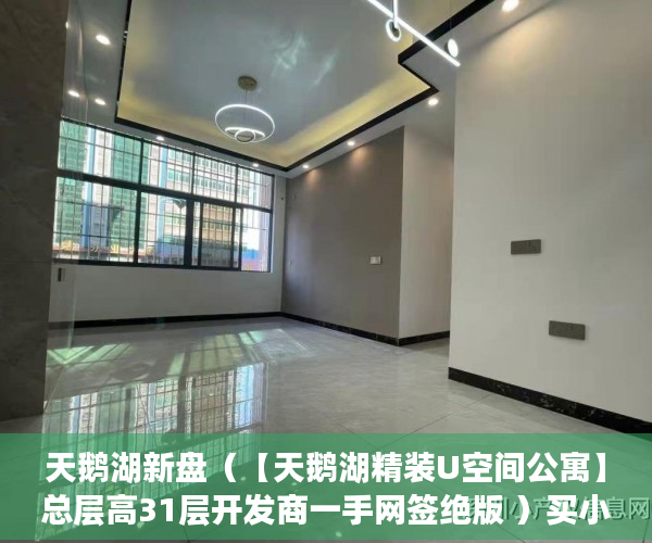 天鹅湖新盘（【天鹅湖精装U空间公寓】总层高31层开发商一手网签绝版 ）买小产权房贷款贷多久放款，