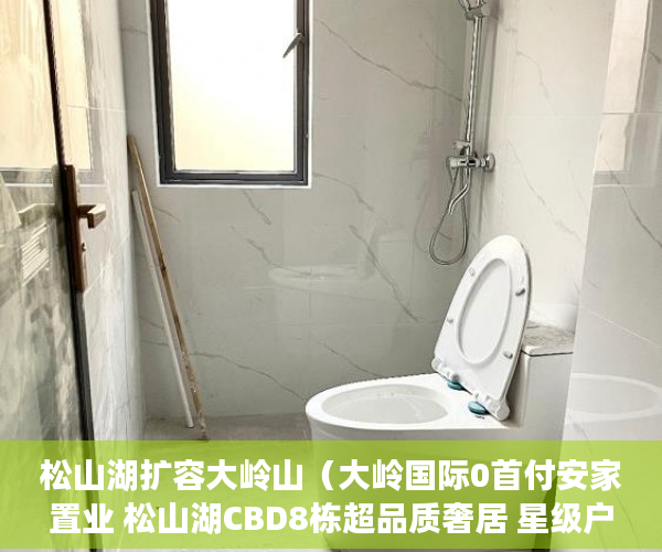 松山湖扩容大岭山（大岭国际0首付安家置业 松山湖CBD8栋超品质奢居 星级户 ）小产权申请查封要多久，