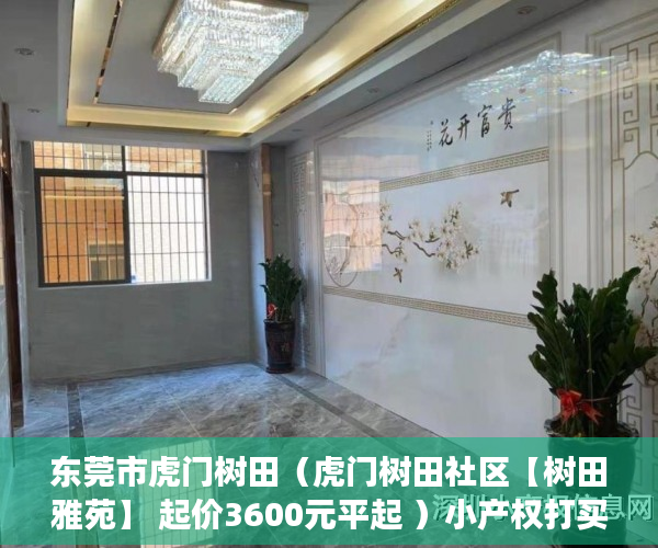 东莞市虎门树田（虎门树田社区【树田雅苑】 起价3600元平起 ）小产权打买卖协议无效要打多久，