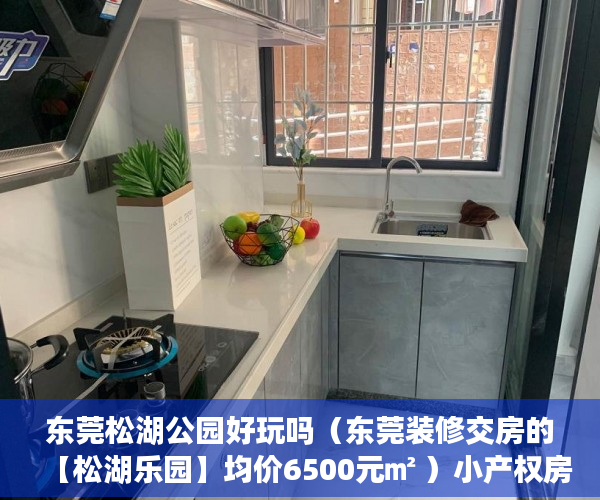 东莞松湖公园好玩吗（东莞装修交房的【松湖乐园】均价6500元㎡ ）小产权房最多能住多久，