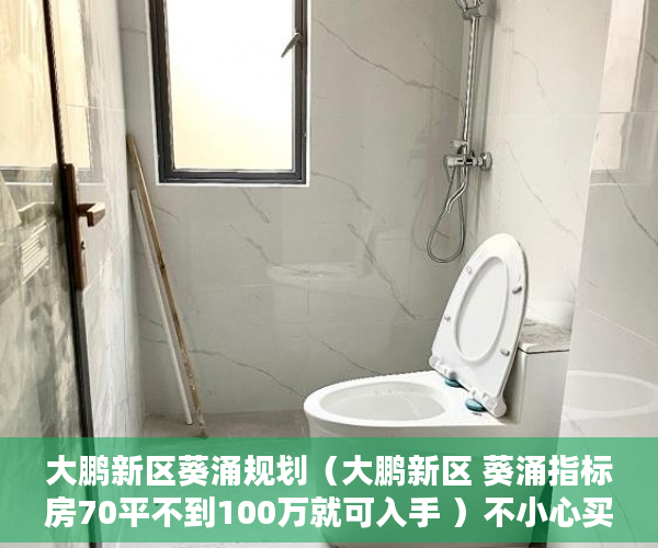 大鹏新区葵涌规划（大鹏新区 葵涌指标房70平不到100万就可入手 ）不小心买到小产权房怎么打官司，