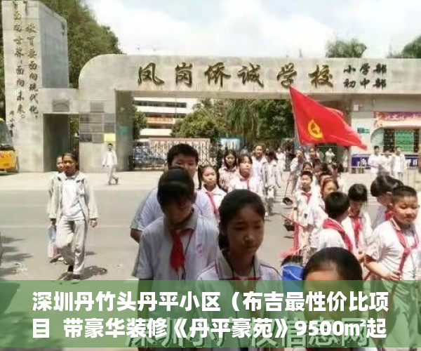 深圳丹竹头丹平小区（布吉最性价比项目  带豪华装修《丹平豪苑》9500㎡起 ）小产权房怎么查，