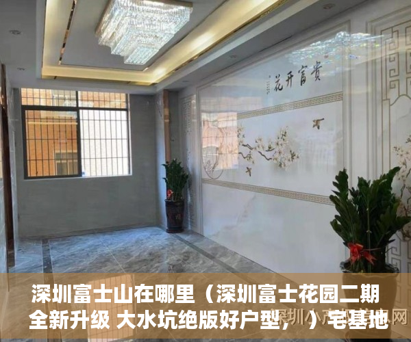 深圳富士山在哪里（深圳富士花园二期 全新升级 大水坑绝版好户型， ）宅基地上建小产权房怎么办，