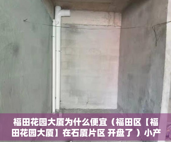 福田花园大厦为什么便宜（福田区【福田花园大厦】在石厦片区 开盘了 ）小产权房一般多久可以更名，