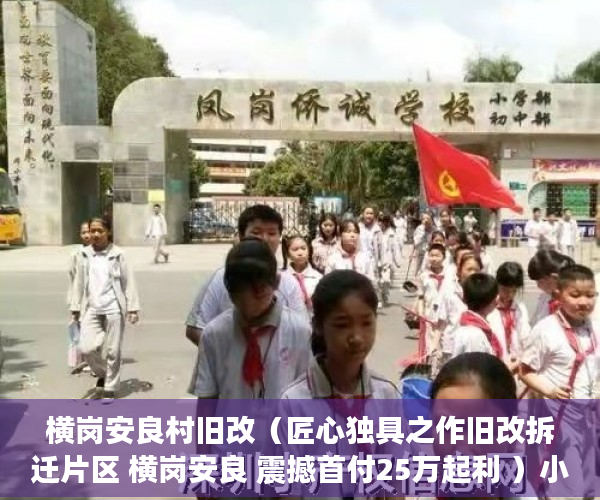 横岗安良村旧改（匠心独具之作旧改拆迁片区 横岗安良 震撼首付25万起利 ）小产权花园房买过的怎么样了，