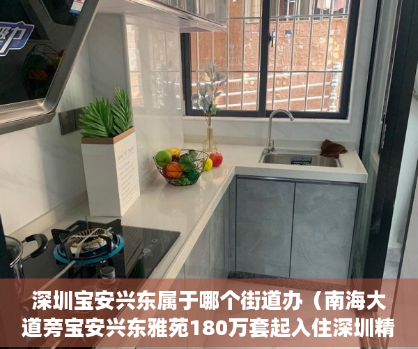 深圳宝安兴东属于哪个街道办（南海大道旁宝安兴东雅苑180万套起入住深圳精英智慧住 ）大产权转小产权了多久可以出售，