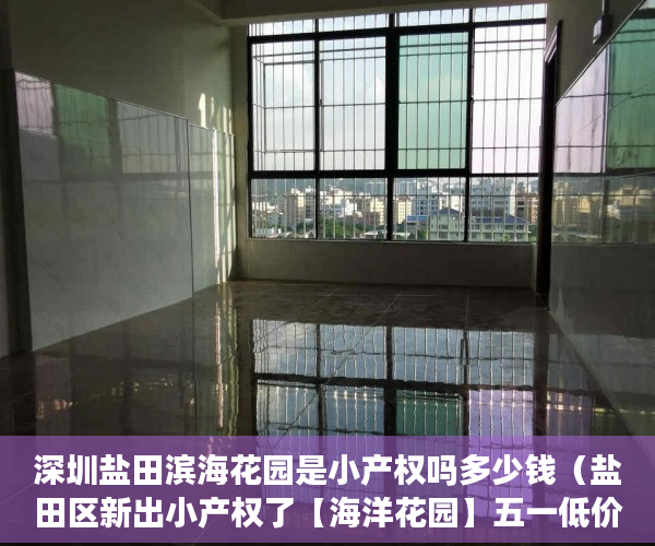 深圳盐田滨海花园是小产权吗多少钱（盐田区新出小产权了【海洋花园】五一低价推出 ）小产权住多久，