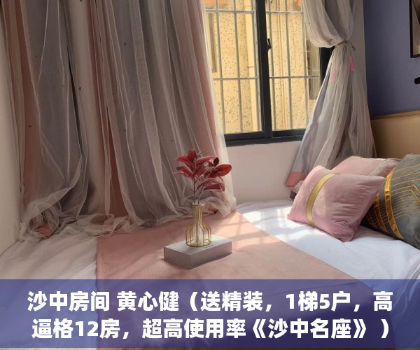 沙中房间 黄心健（送精装，1梯5户，高逼格12房，超高使用率《沙中名座》 ）小产权房怎么过户手续，