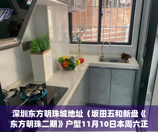 深圳东方明珠城地址（坂田五和新盘《东方明珠二期》户型11月10日本周六正式开 ）小产权房产权是多久，