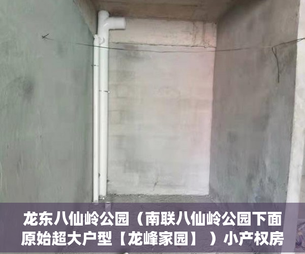 龙东八仙岭公园（南联八仙岭公园下面原始超大户型【龙峰家园】 ）小产权房多久能办房产证吗，