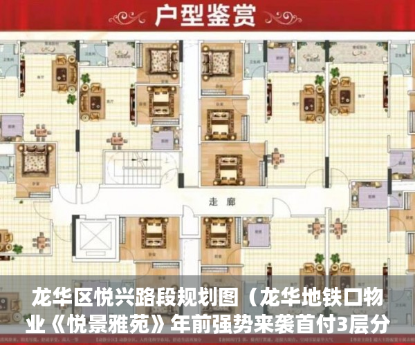 龙华区悦兴路段规划图（龙华地铁口物业《悦景雅苑》年前强势来袭首付3层分期5年 ）小产权房多久会漏雨，