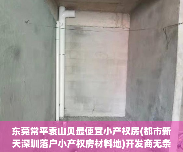 东莞常平袁山贝最便宜小产权房(都市新天深圳落户小产权房材料地)开发商无条件1成首付小产权房_宋体