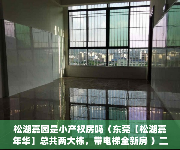 松湖嘉园是小产权房吗（东莞【松湖嘉年华】总共两大栋，带电梯全新房 ）二手小产权房产权多久，