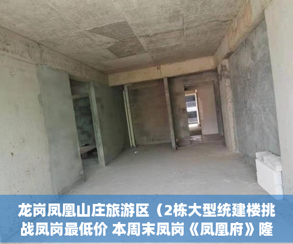 龙岗凤凰山庄旅游区（2栋大型统建楼挑战凤岗最低价 本周末凤岗《凤凰府》隆 ）棚户区改造中的小产权房怎么处理，