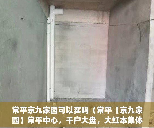 常平京九家园可以买吗（常平【京九家园】常平中心，千户大盘，大红本集体产权 ）农村信用社小产权贷款需要多久，