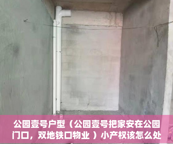 公园壹号户型（公园壹号把家安在公园门口，双地铁口物业 ）小产权该怎么处理，