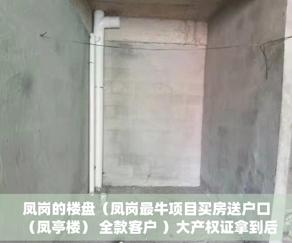 凤岗的楼盘（凤岗最牛项目买房送户口（凤亭楼） 全款客户 ）大产权证拿到后多久能拿到小产权证，