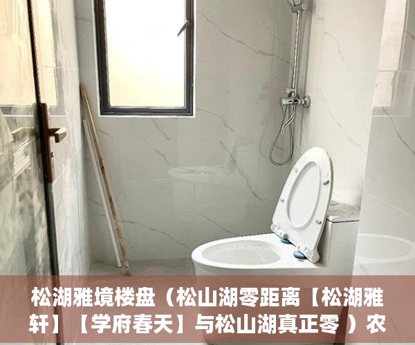 松湖雅境楼盘（松山湖零距离【松湖雅轩】【学府春天】与松山湖真正零 ）农村小产权房怎么过户，