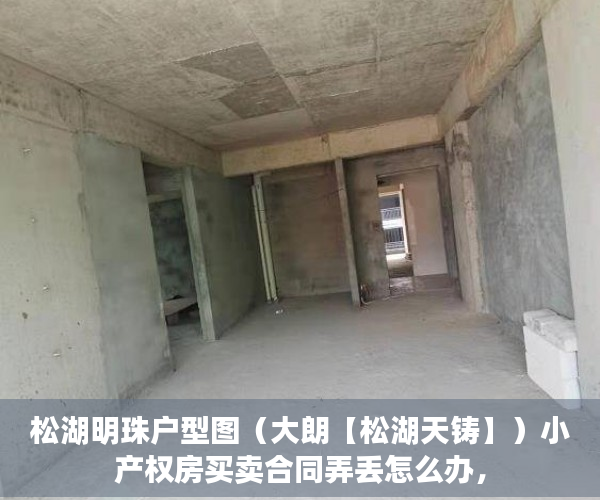松湖明珠户型图（大朗【松湖天铸】）小产权房买卖合同弄丢怎么办，