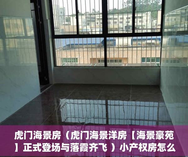 虎门海景房（虎门海景洋房【海景豪苑】正式登场与落霞齐飞 ）小产权房怎么改造，