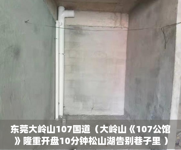 东莞大岭山107国道（大岭山《107公馆》隆重开盘10分钟松山湖告别巷子里 ）开发商大产权办了小产权多久办下来，