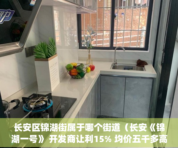 长安区锦湖街属于哪个街道（长安《锦湖一号》 开发商让利15% 均价五千多高品质配套 ）东莞长安小产权会维持多久，