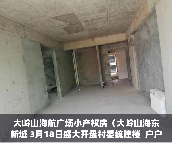 大岭山海航广场小产权房（大岭山海东新城 3月18日盛大开盘村委统建楼  户户 ）小产权二手房购买多久合同生效，