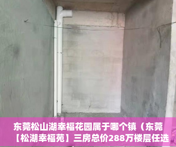 东莞松山湖幸福花园属于哪个镇（东莞【松湖幸福苑】三房总价288万楼层任选 ）小产权房能居住多久安全吗，