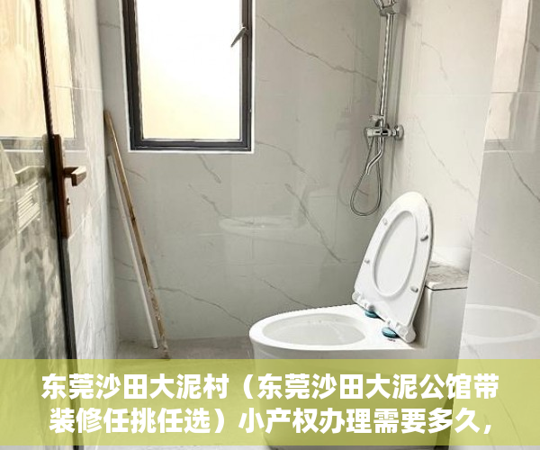 东莞沙田大泥村（东莞沙田大泥公馆带装修任挑任选）小产权办理需要多久，