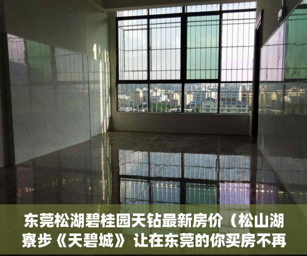 东莞松湖碧桂园天钻最新房价（松山湖寮步《天碧城》 让在东莞的你买房不再是梦想！！ ）小产权房国家怎么处理，