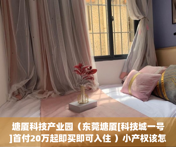 塘厦科技产业园（东莞塘厦[科技城一号]首付20万起即买即可入住 ）小产权该怎么处理，