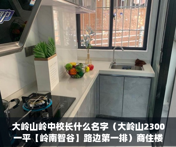 大岭山岭中校长什么名字（大岭山2300一平【岭南智谷】路边第一排）商住楼改造小产权房怎么办，