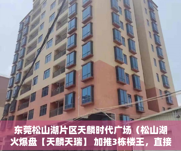 东莞松山湖片区天麟时代广场（松山湖火爆盘【天麟天瑞】 加推3栋楼王，直接认购！！！ ）深圳小产权房多久过户有效，